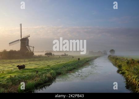 Moulin à vent le Wingerdse Molen près de Bleskensgraaf Banque D'Images