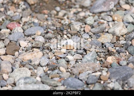 Sphingonotus caerulans, très bon camouflage dans son habitat Banque D'Images