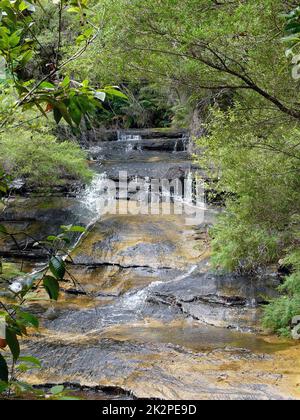 Vue sur les Cascades de Leura dans les montagnes bleues Banque D'Images