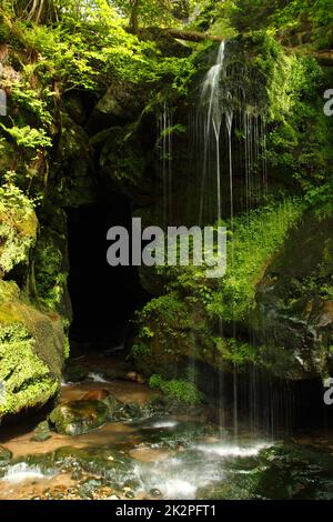 Petite cascade naturelle avec un environnement vert dans le paysage de rochers qui surpoussent la mousse Banque D'Images