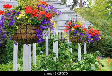 Paniers de fleurs suspendus Banque D'Images