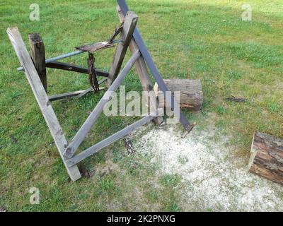 Sciage d'un tronc d'arbre pour un mariage, tradition pour les couples de mariée avec tronc d'arbre, scie et sawhorse Banque D'Images