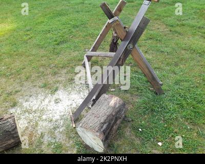 Sciage d'un tronc d'arbre pour un mariage, tradition pour les couples de mariée avec tronc d'arbre, scie et sawhorse Banque D'Images