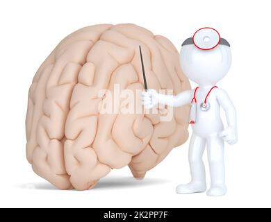 Médecin pointingat cerveau humain. Illustration médicale. Isolé. Contient le chemin de la broche de coupe Banque D'Images