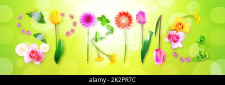 Fleurs et herbes avec le mot ressort. Composition florale créative. Banque D'Images