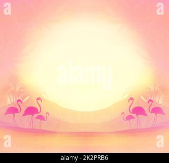flamants dans la nature sauvage paysage pendant le coucher du soleil, illustration de silhouette Banque D'Images