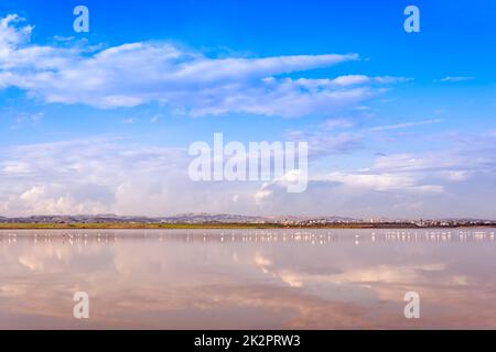 Vue sur le lac Salt à Larnaca, Chypre Banque D'Images