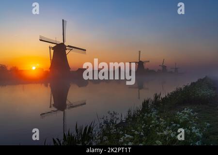 Moulins à vent traditionnels hollandais avec un ciel coloré juste avant le lever du soleil à Kinderdijk, aux pays-Bas Banque D'Images