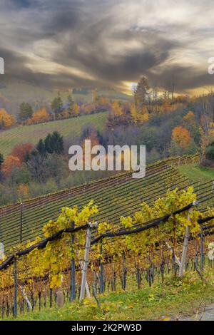 Les plus hauts vignobles d'Autriche près du village Kitzeck im Sausal, Styrie, Autriche Banque D'Images