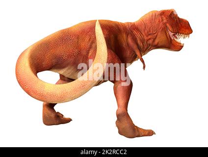 Rendu 3D Tyrannosaurus Rex sur blanc Banque D'Images