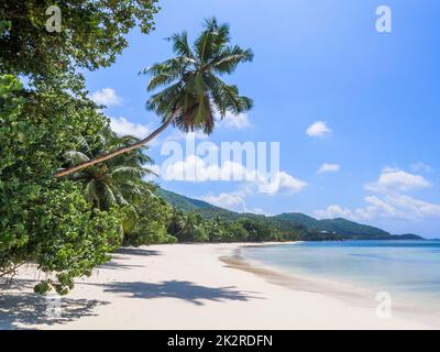 Seychelles, Praslin - Anse St Sauveur Banque D'Images