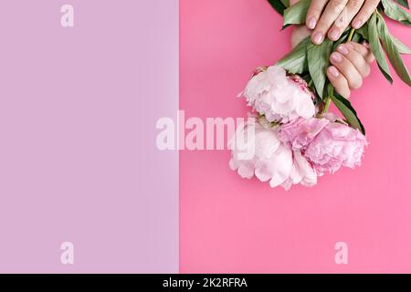 Femme avec les mains manucure rose pivoines hold Banque D'Images