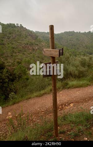 Poteau en bois avec des poteaux de signalisation dans la forêt Banque D'Images