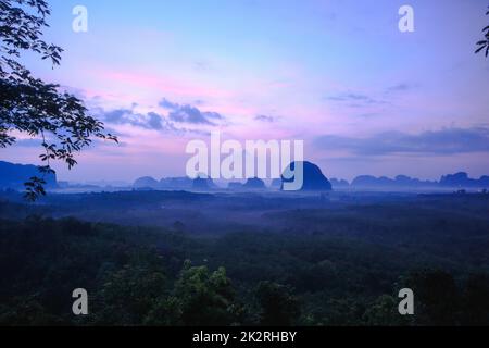 Le soleil se lève au-dessus du sommet de l'arbre. Banque D'Images