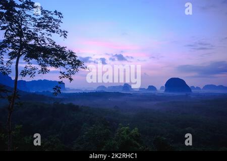 Le soleil se lève au-dessus du sommet de l'arbre. Banque D'Images