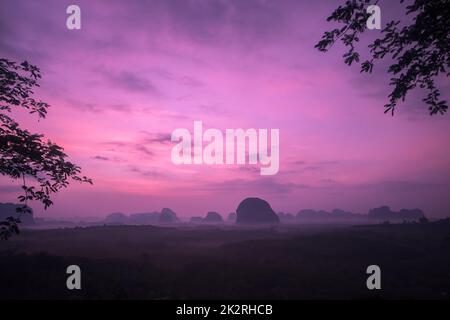 Le soleil se lève au-dessus du sommet de l'arbre. Banque D'Images