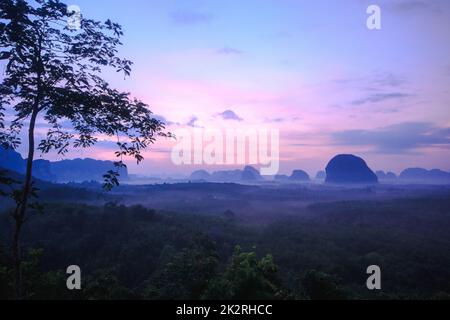 Le soleil se lève au-dessus du sommet de l'arbre. Banque D'Images