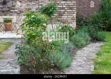 fleurs dans le jardin - roses et fleurs de lavande Banque D'Images