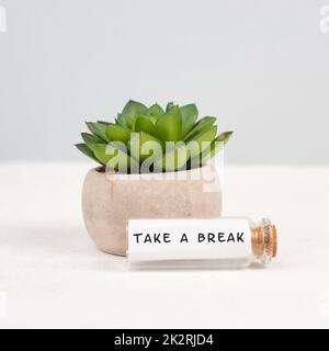 Cactus dans un pot sur fond gris, bouteille en verre avec la phrase prendre une pause, plante au bureau Banque D'Images