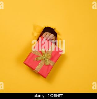 la main femelle tient une boîte avec un cadeau sur fond jaune, une partie du corps dépasse d'un trou déchiré dans un fond en papier. Félicitations, surprise de vacances Banque D'Images
