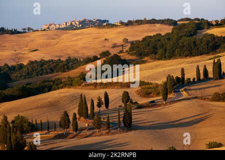 Cipressi di Monticchielo, paysage toscan typique près de Montepulciano, Italie Banque D'Images