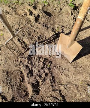 Des outils de jardin comme une pelle et une fourchette sur un sol terre fraîchement creusé. Banque D'Images