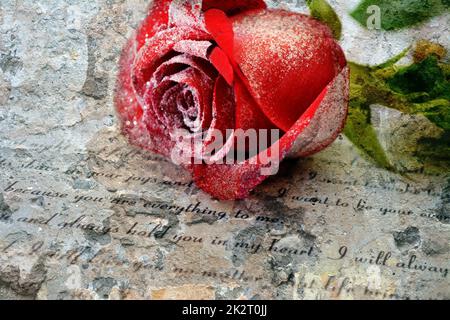 Rose rouge sur lettre d'amour Banque D'Images