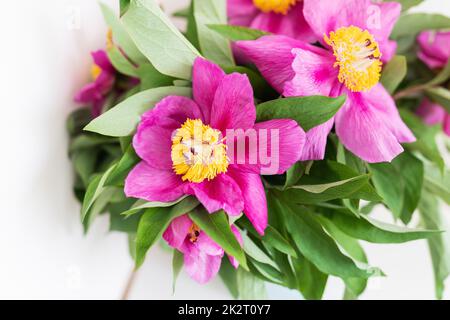 Bouquet de pivoines rose vif dans un vase, espace pour le texte. Banque D'Images