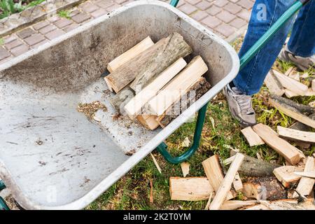 Stockage de bois de chauffage pour le chauffage domestique. L'homme empile du bois de chauffage. Les arbres ont été coupés et divisés en bois de chauffage pour servir de combustible dans les foyers et les poêles. Le concept de la récolte du bois de chauffage pour le chauffage de la maison. Banque D'Images