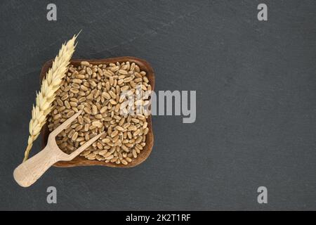 Graines de blé dans une assiette en bois et une pelle en bois Banque D'Images