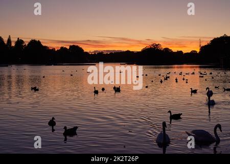 Le Serpentine à Hyde Park, Londres, Royaume-Uni, au crépuscule, le 16th septembre 2022 Banque D'Images