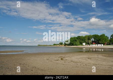 Sur la plage, Zierow, Mer Baltique, Baie de Wismar, Nordwestmecklenburg, Mecklenburg-Vorpommern, Allemagne Banque D'Images