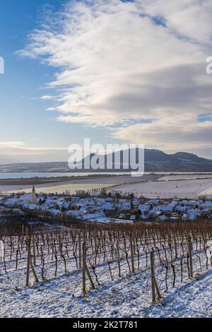 Vignobles d'hiver sous Palava près de Sonberk, Moravie du Sud, République tchèque Banque D'Images