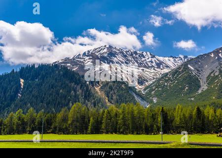 Alpes montagnes couvertes de pinède, Davos, Graubuenden, SW Banque D'Images