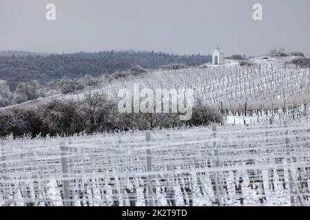 Calvaire près de Hnanice, région de Znojmo, Moravie du Sud, République tchèque Banque D'Images