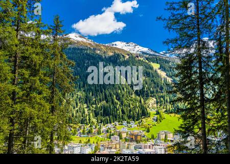 Alpes montagnes couvertes de pinède, Davos, Graubuenden, SW Banque D'Images