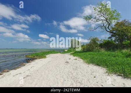 Sur la plage naturelle, la mer Baltique, Zierow, la baie de Wismar, Nordwestmecklenburg, Mecklenburg-Vorpommern, Allemagne Banque D'Images