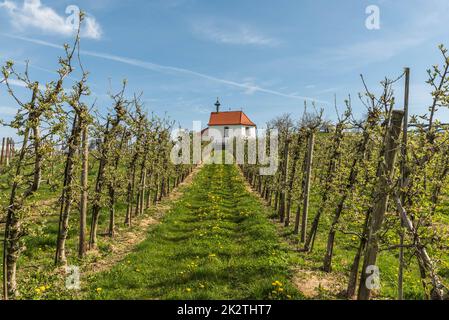 Petite chapelle dans un paysage idyllique près du lac de Constance Banque D'Images