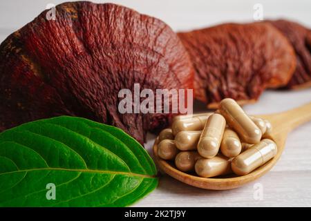 Champignons de Lingzhi ou Reishi avec capsules, nourriture naturelle biologique saine. Banque D'Images