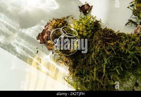 Un élégant anneau de diamant et deux anneaux de mariage reposant sur de la mousse verte. Superbes reflets et lumière du soleil, mise au point douce et sélective. Concept de proposition de mariage. Banque D'Images