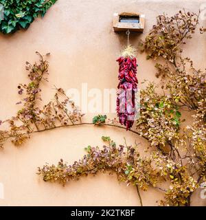 Ristra au piment rouge Banque D'Images