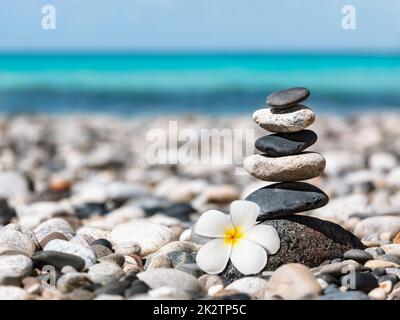 L'équilibre Zen stones pile avec plumeria flower Banque D'Images