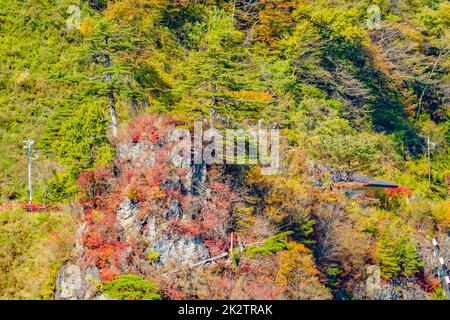 Okaw quatre mille feuilles d'automne Banque D'Images