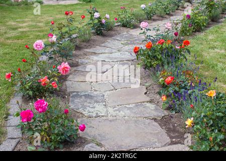 chemin de jardin pavé en pierre et fleurs Banque D'Images