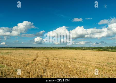 Traces d'une roue sur un champ de chaume et nuages sur un ciel bleu Banque D'Images