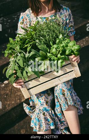 Femme anonyme avec herbes cueillies dans la boîte sur les escaliers Banque D'Images