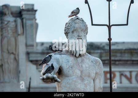 Gros plan d'oiseaux qui perchent sur la célèbre statue et fontaine de Neptune Banque D'Images