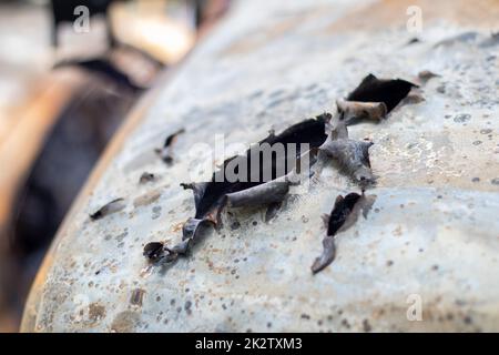 Carrosserie brûlée criblée de balles. La guerre de la Russie contre l'Ukraine. Tiré par la voiture militaire russe de civils pendant l'évacuation. Traces de balles et fragments de coquilles. Banque D'Images