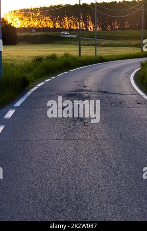 Route rurale dans le champ de récolte de céréales d'orge au printemps Banque D'Images