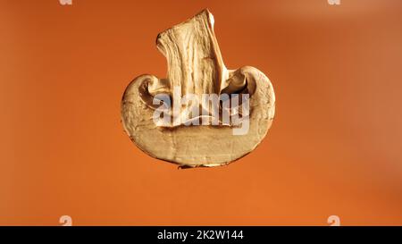 Un champignon frais dans une coupe sur fond marron. La moitié du champagne royal en gros plan. Champignons juteux, espace de copie. Matière première pour la cuisson des aliments végétaliens. Banque D'Images